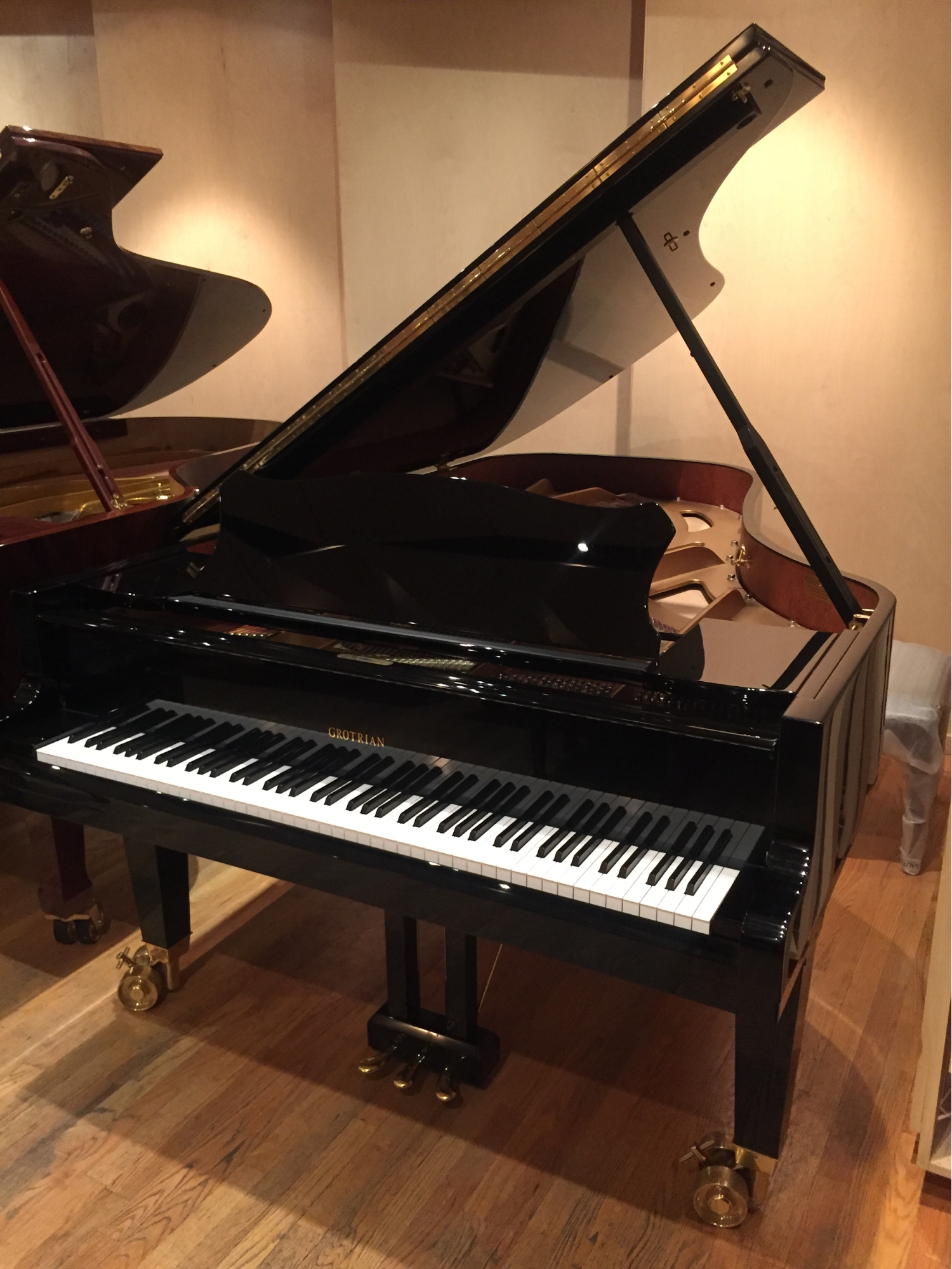arrojar polvo en los ojos Ataque de nervios cantidad de ventas 5 GREAT EUROPEAN PIANO MANUFACTURERS — Beethoven Pianos