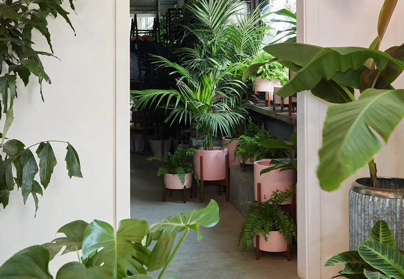 Flora Grubb Gardens Pink Planter Case Study Pots.jpg