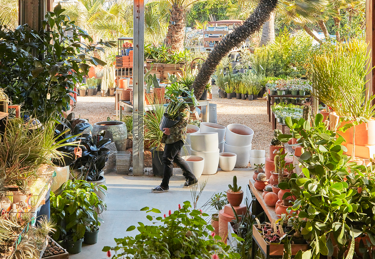 Flora Grubb Gardens Winter Gardening.png