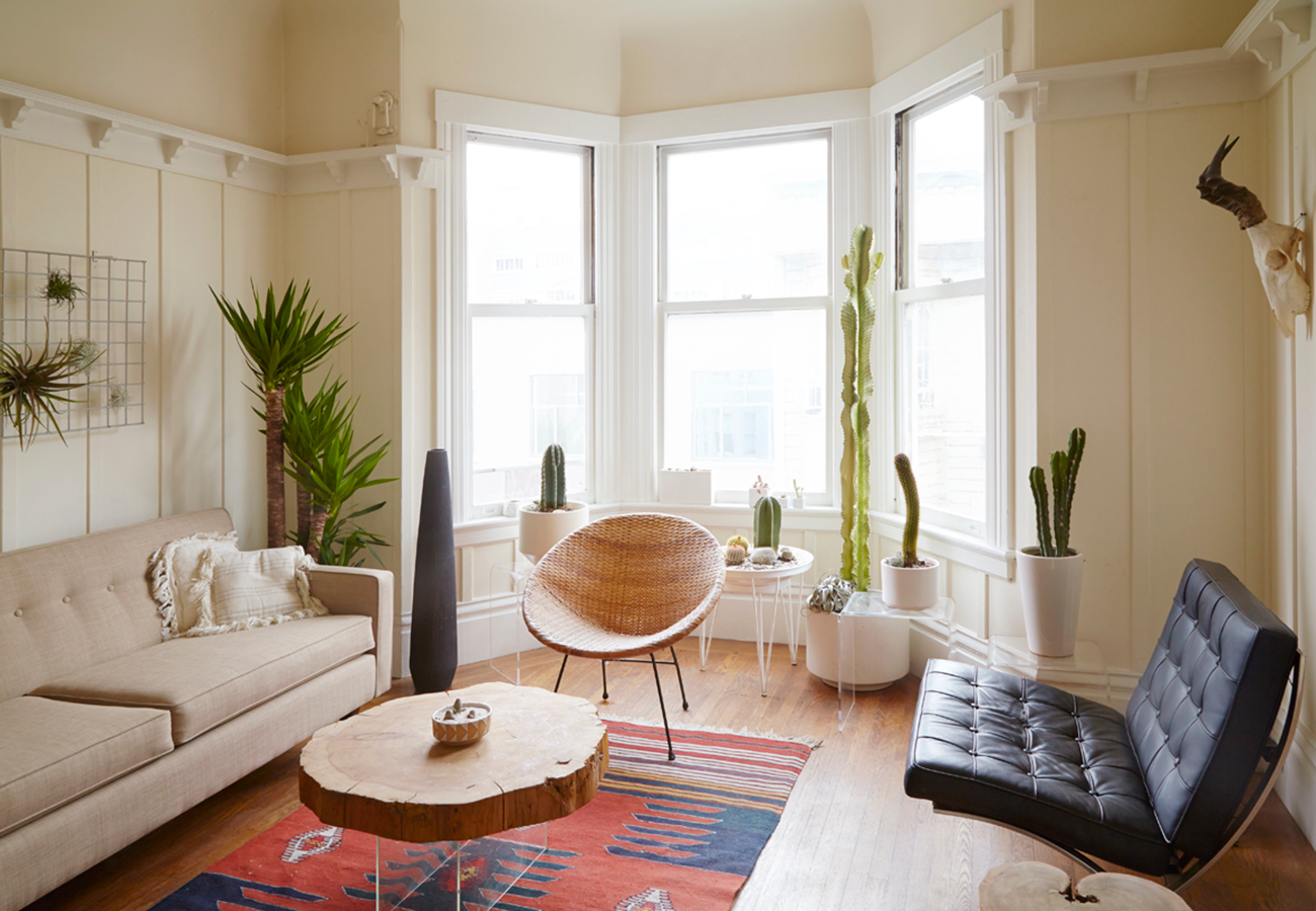 Flora Grubb Gardens Modern Houseplant Apartment.png