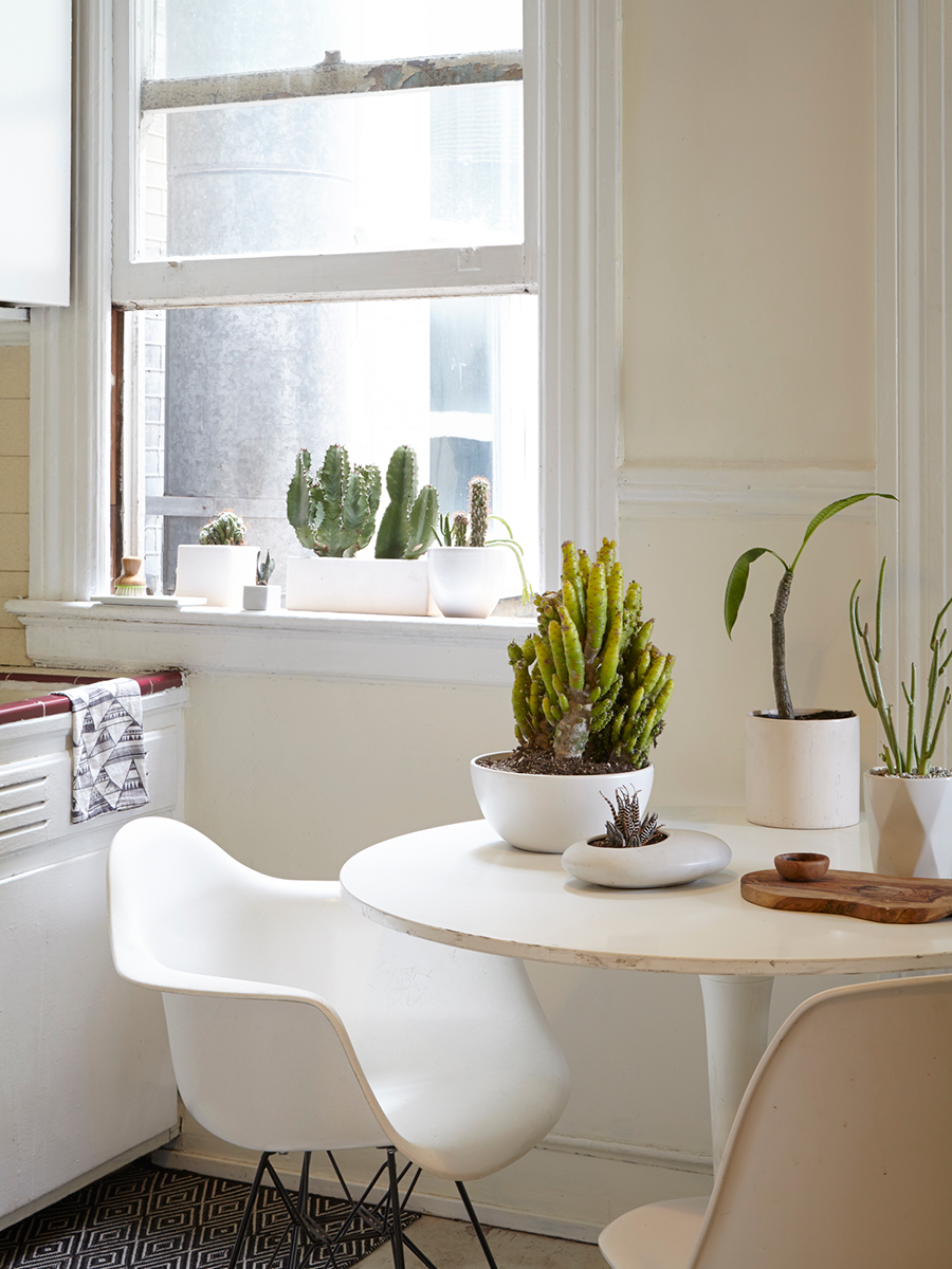 Flora Grubb Gardens Desert Modern Succulents.png