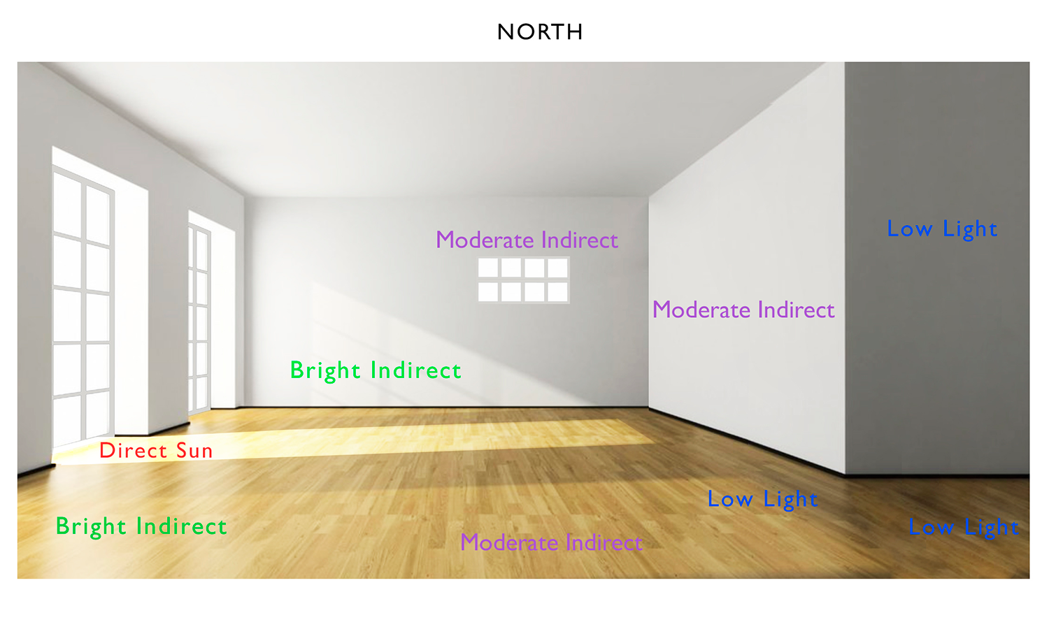 Flora Grubb Gardens Light and Sun Guide for Indoor Houseplants.png