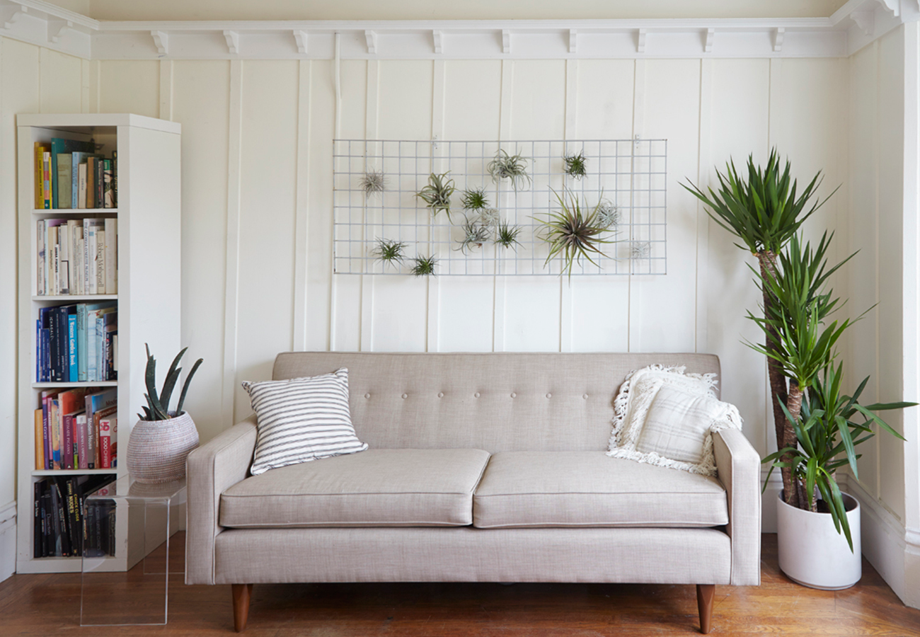 Flora Grubb Gardens Modern Houseplant Inspiration.png