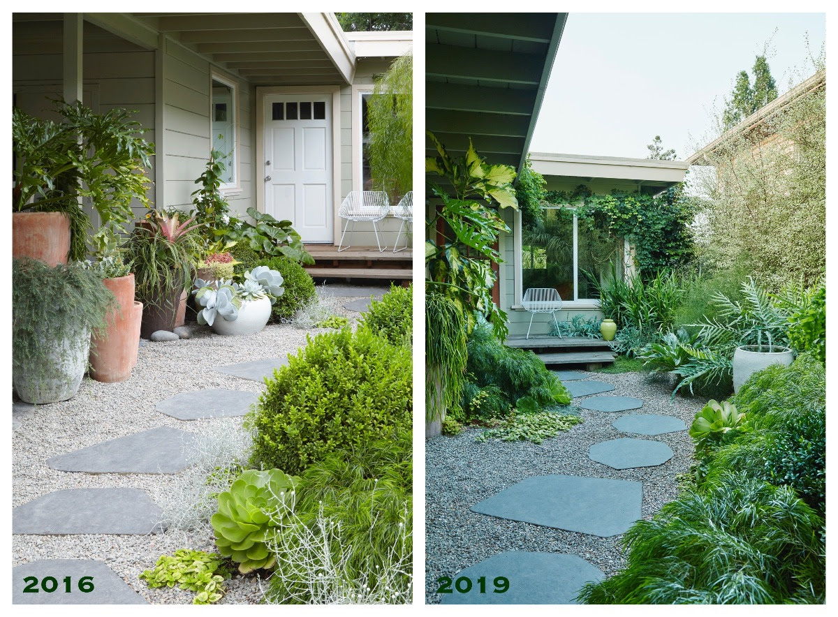 Flora Grubb Gardens - Front Garden Before and After.png