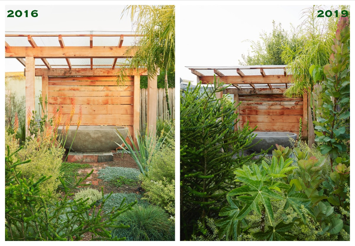 Flora Grubb Gardens - Back Yard Bath Before and After.png