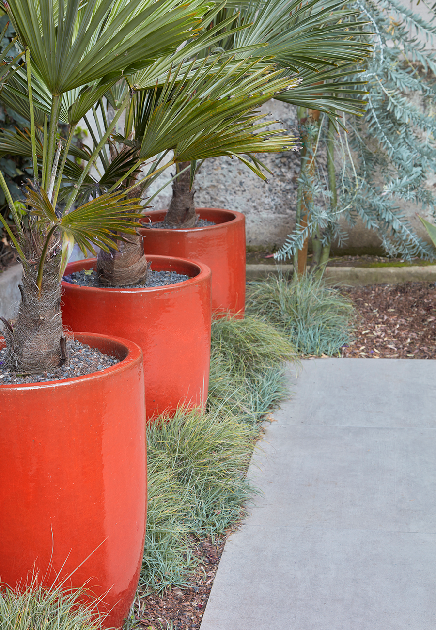 MODERN CERAMIC POTS IN LAVISH RED