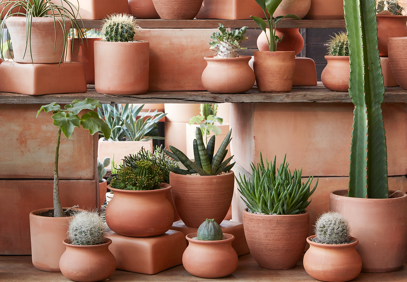 SMALL TERRA COTTA POTS AND PLANTERS