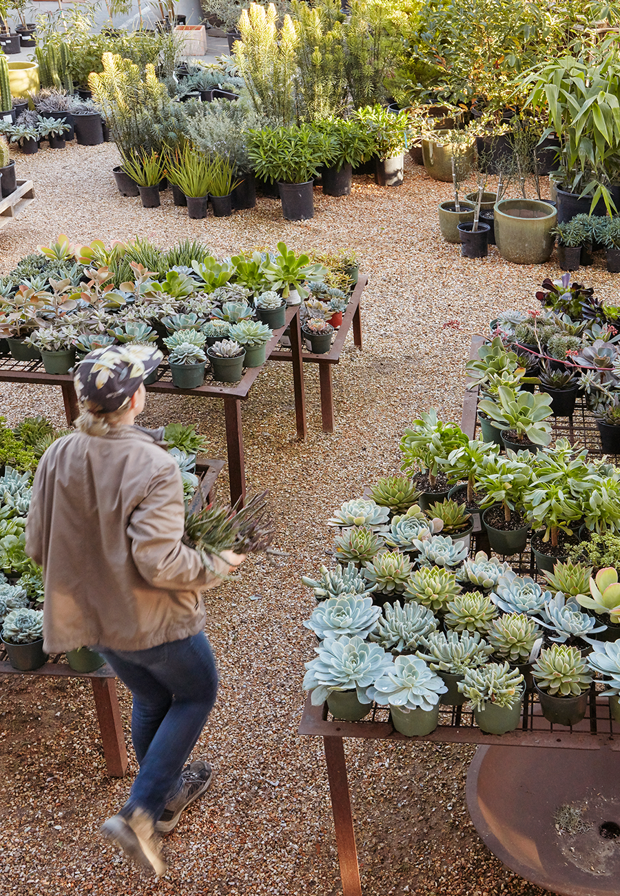 Flora Grubb Gardens Get in Your Garden.png