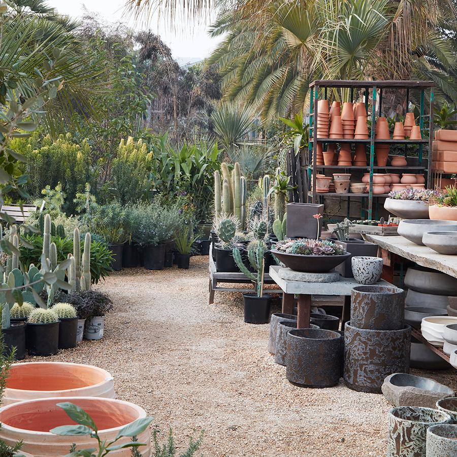 Flora Grubb Gardens Pots and Planters.png