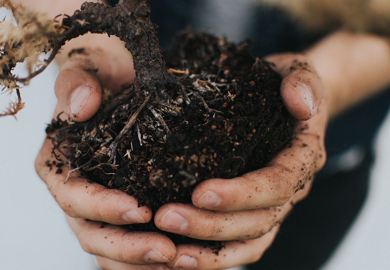 Flora Grubb Gardens-Get-to-Know-Your-Soil-photo-by-kyle-ellefson-unsplash.png