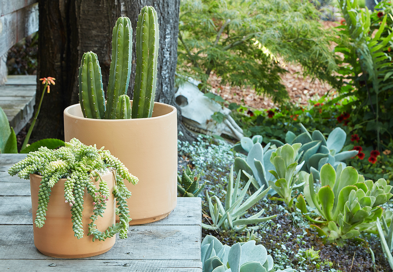 Cylinder ceramic pot in terra-cotta