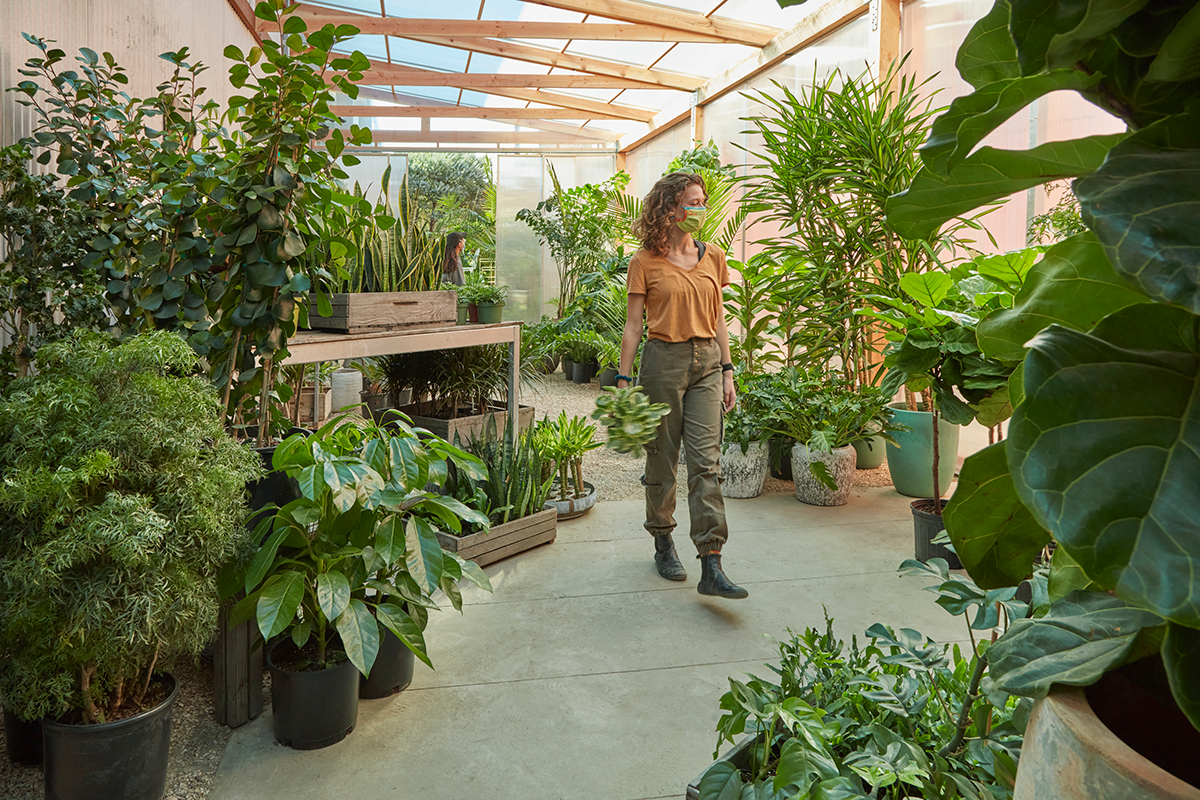 Introducing Our New Sun Room Flora Grubb Gardens