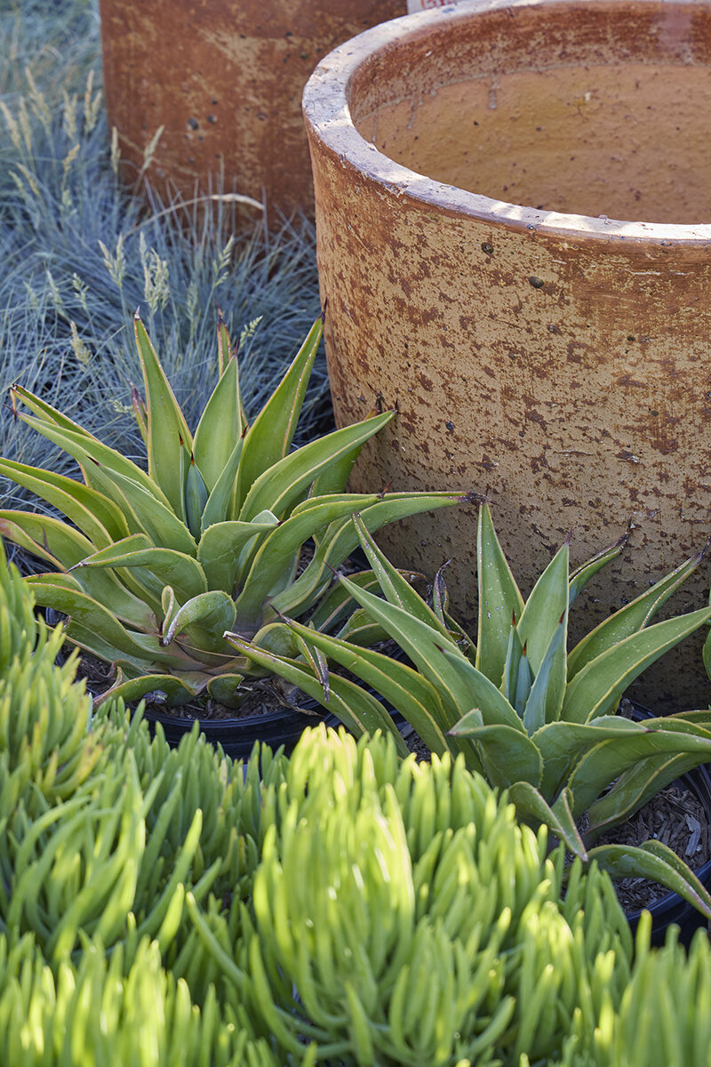 lime green handbuilt ceramic stoneware Plant lover planter Floral