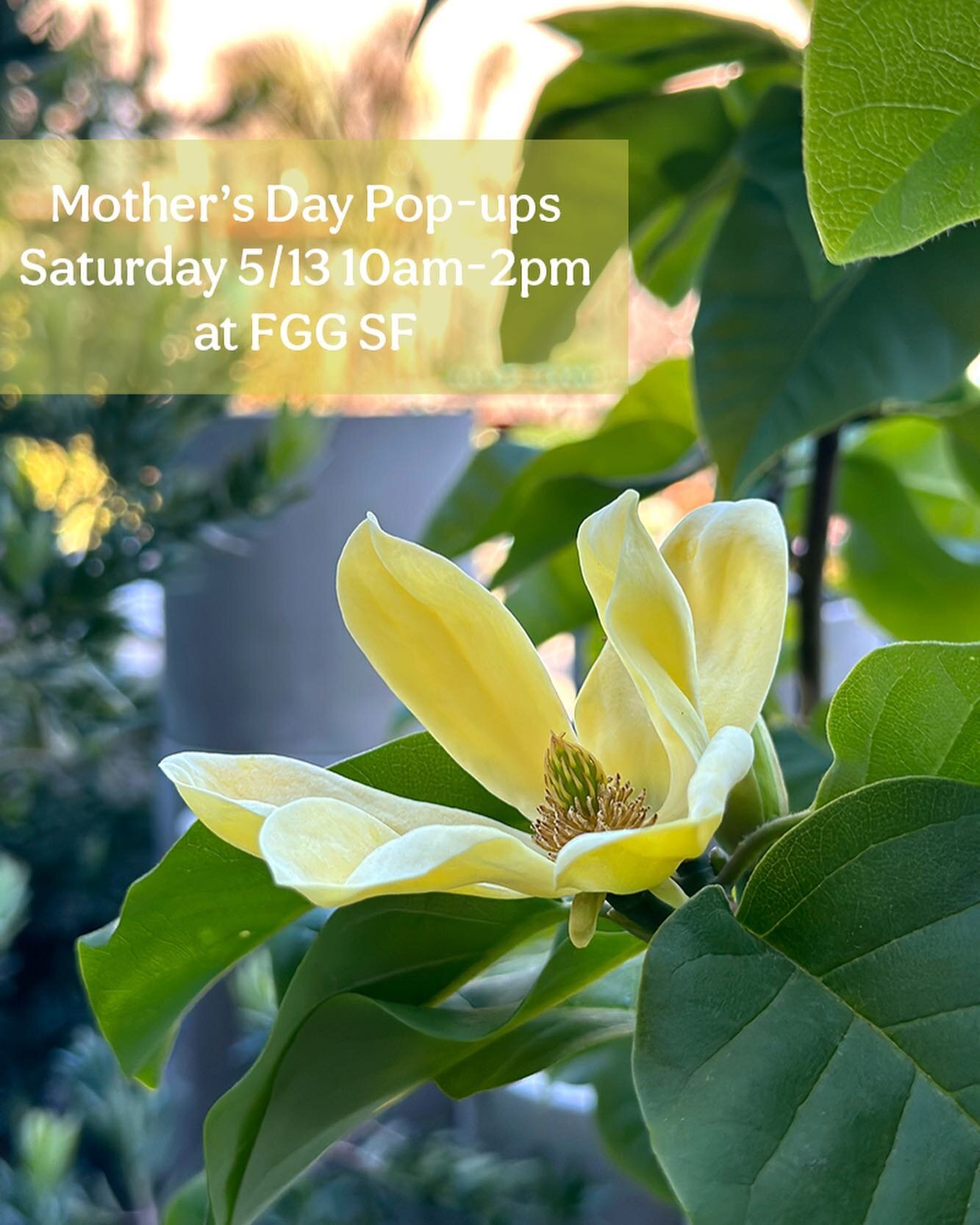 Join us this Saturday 5/13 for Mother&rsquo;s Day pop-ups in the garden at our SF store! @wildearthstudios + @luvhaus + @dogwood_botanicals will be here 10am-2pm selling their lovely handmade goods. As always, @craftsman_coffee will be open serving d