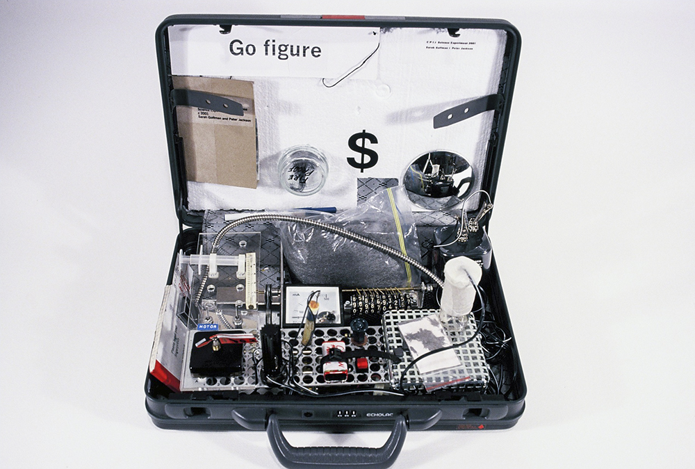 Sarah Goffman in Science Experiment, 2001, Briefcase, Sydney