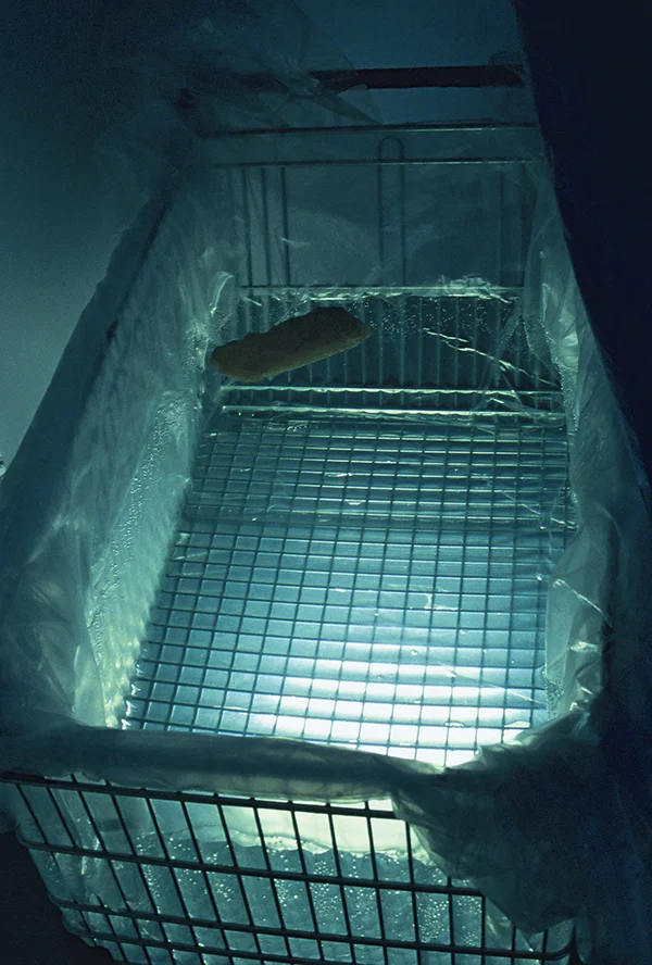 Sarah Goffman, Fat Floats, 2003, Marineland, curator Philipa Veitch, Tin Sheds Gallery, The University of Sydney, Sydney