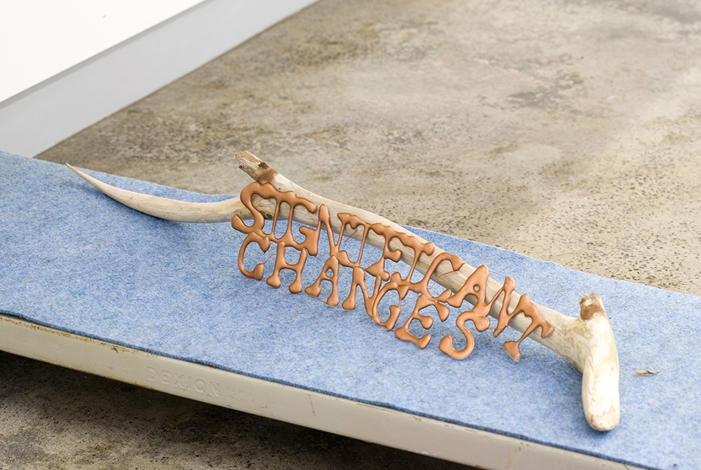 Sarah Goffman, Significant Changes, 2009, Group Show, Breenspace, Sydney (photo: Jamie North)