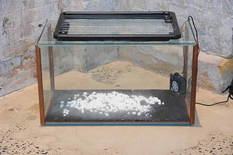 Sarah Goffman, Trashcan Dreams, 2010, curator Bec Dean, Performance Space, Sydney (photo: Garth Knight)