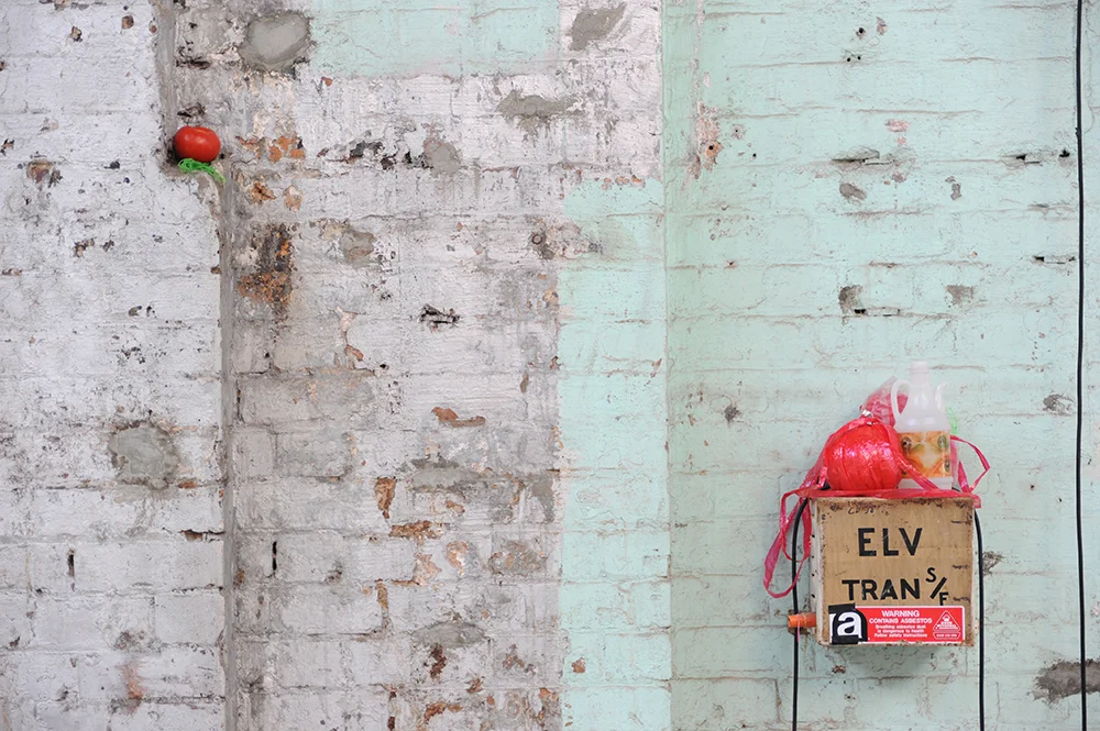 Sarah Goffman, Trashcan Dreams, 2010, curator Bec Dean, Performance Space, Sydney (photo: Garth Knight)