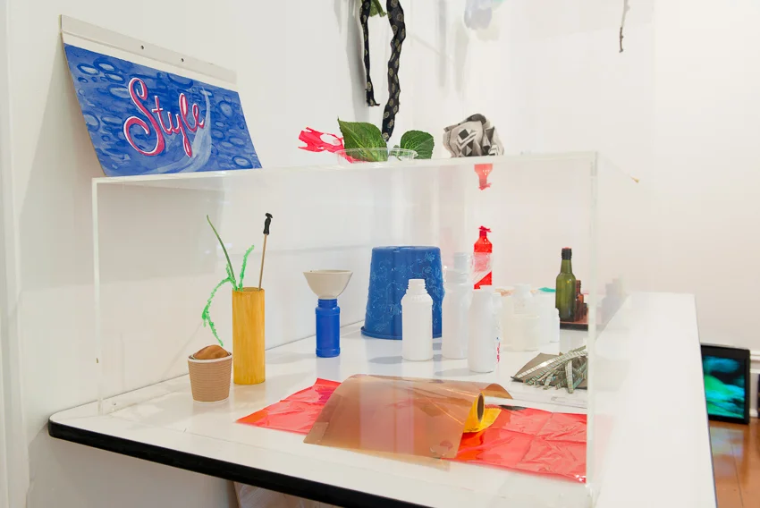 Sarah Goffman, Plastici, 2012, Lewers House, Penrith Regional Gallery, Sydney