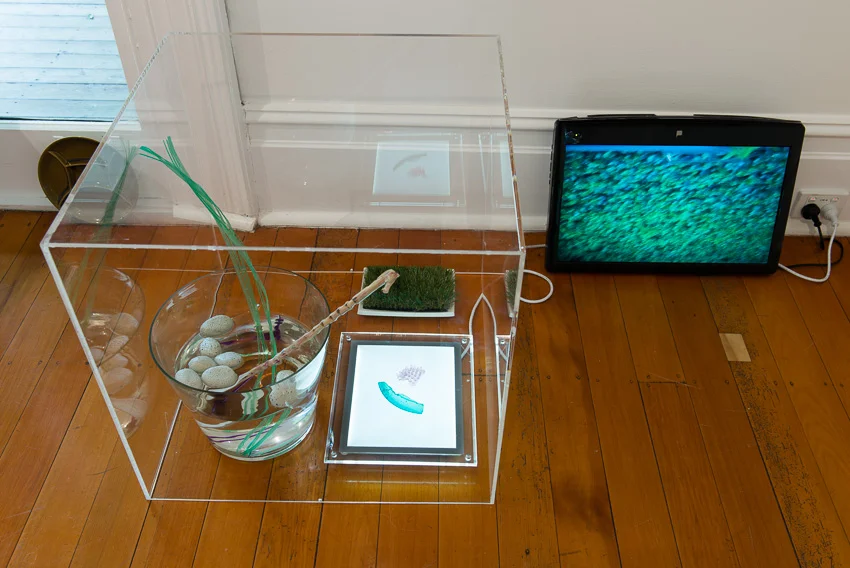 Sarah Goffman, Plastici, 2012, Lewers House, Penrith Regional Gallery, Sydney