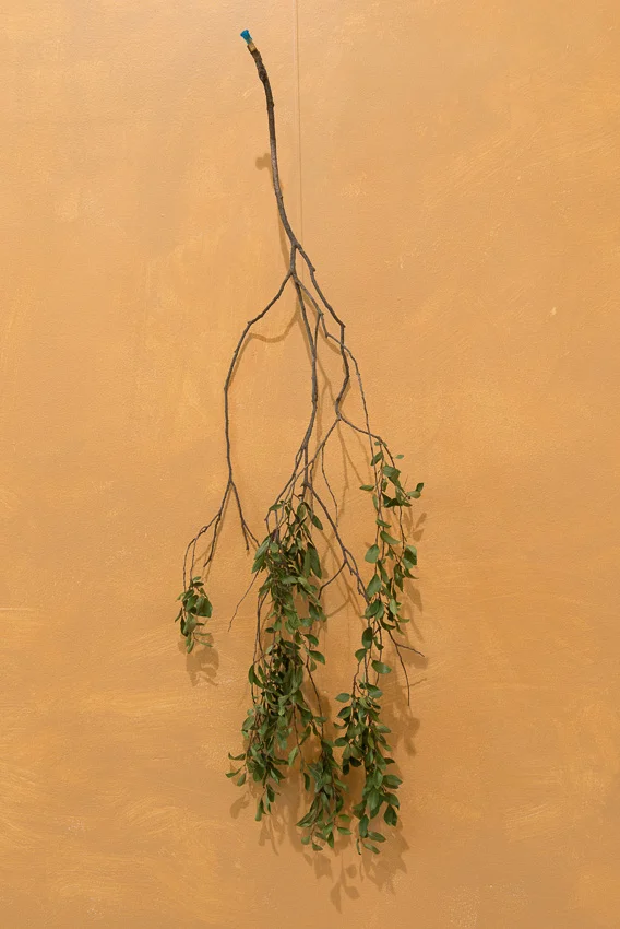Sarah Goffman, This is a Drawing, 2012, Lewers House, Penrith Regional Gallery, Sydney