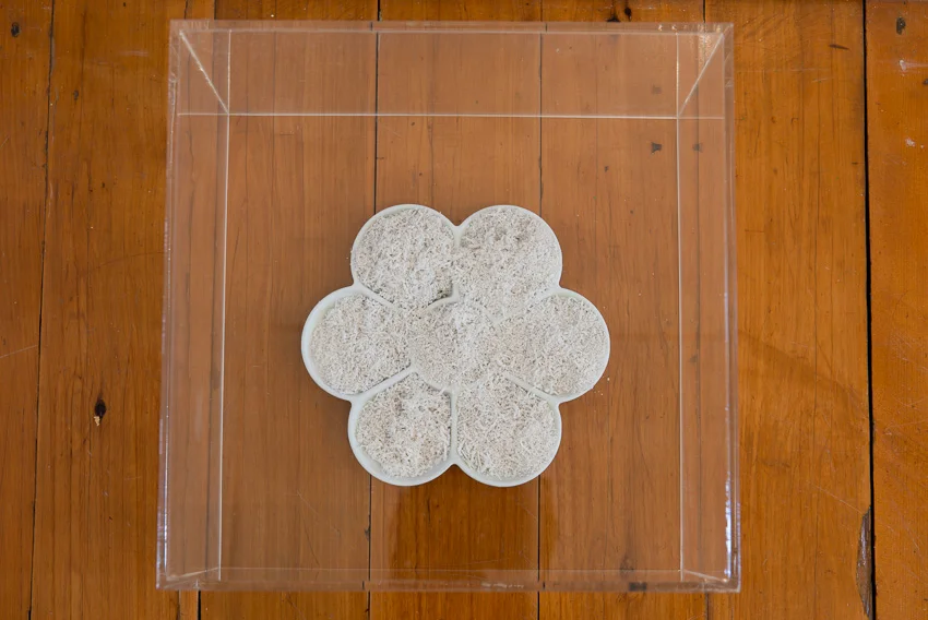 Sarah Goffman, Found, 2012, Lewers House, Penrith Regional Gallery, Sydney