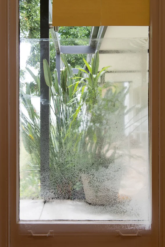 Sarah Goffman, Found, 2012, Lewers House, Penrith Regional Gallery, Sydney