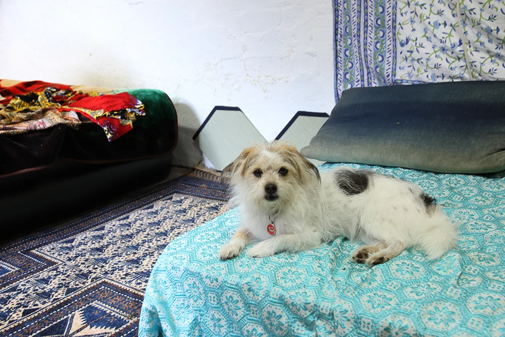 Sarah Goffman, Marrickville Opium Den, 2016, Marrickville Garage, Sydney