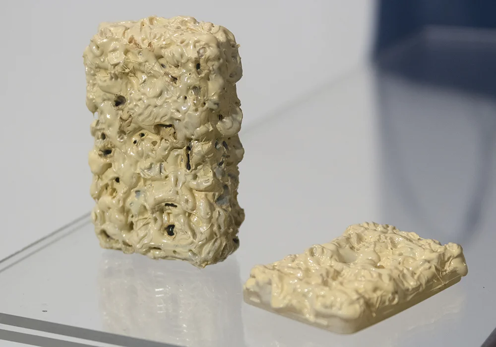 Sarah Goffman, I am a 3D Printer, 2017, Wollongong Art Gallery, Wollongong