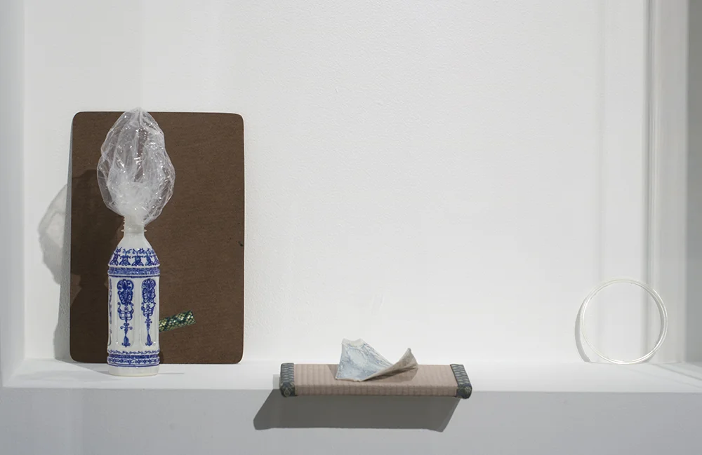 Sarah Goffman, I am a 3D Printer, 2017, Wollongong Art Gallery, Wollongong