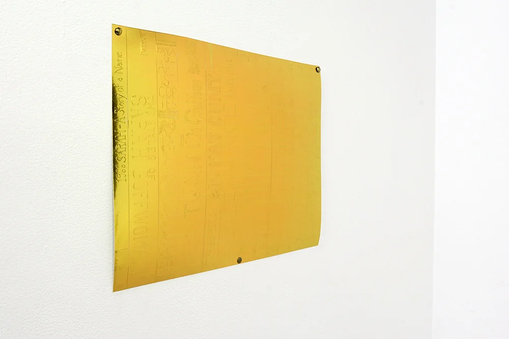 Sarah Goffman, I am not Gina Rinehart, 2018, 55 Sydenham Rd, Sydney