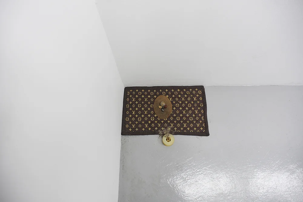 Sarah Goffman, I am not Gina Rinehart, 2018, 55 Sydenham Rd, Sydney