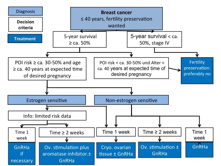 BreastCancerFlowChart.jpg