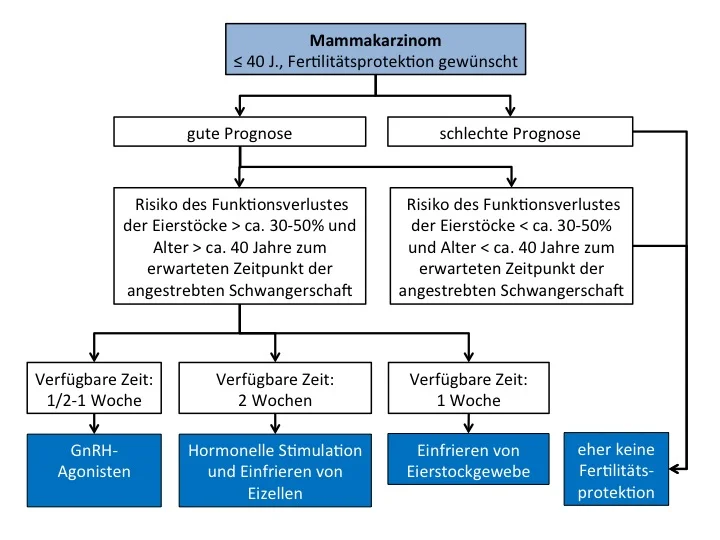 MammakarzinomAbbildung.jpg