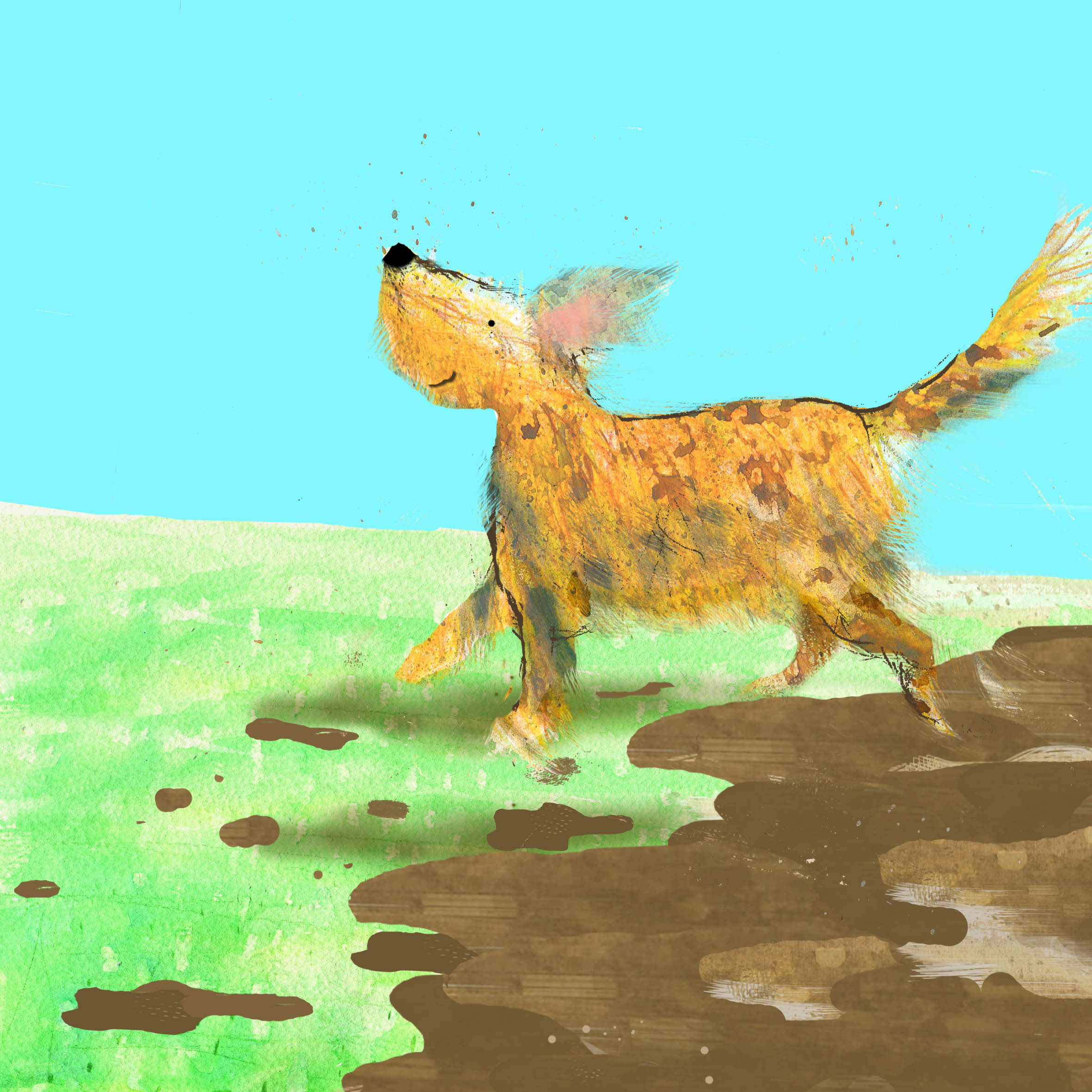 muddy dog.jpg