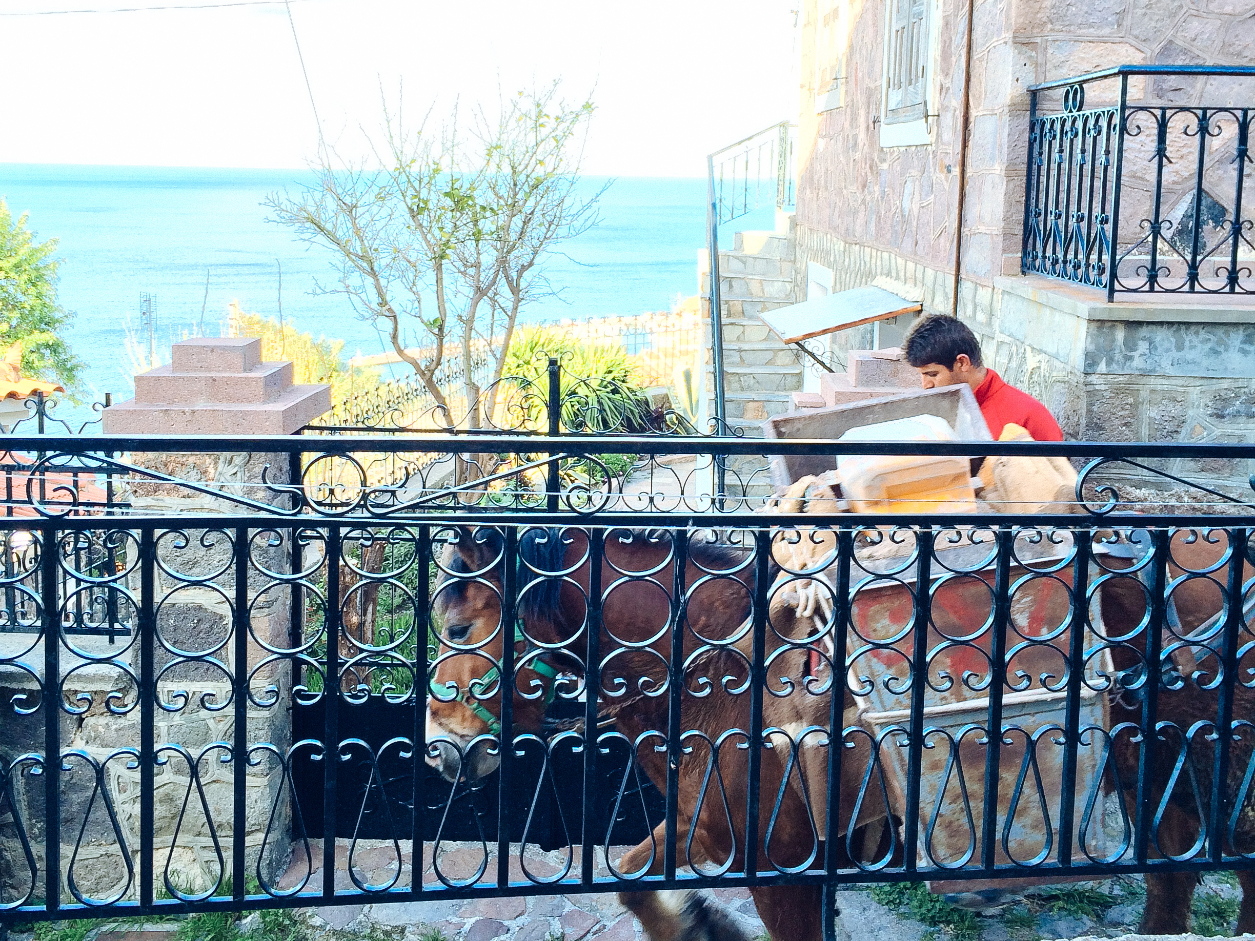 Monday morning construction isn't so bad when it looks like this.