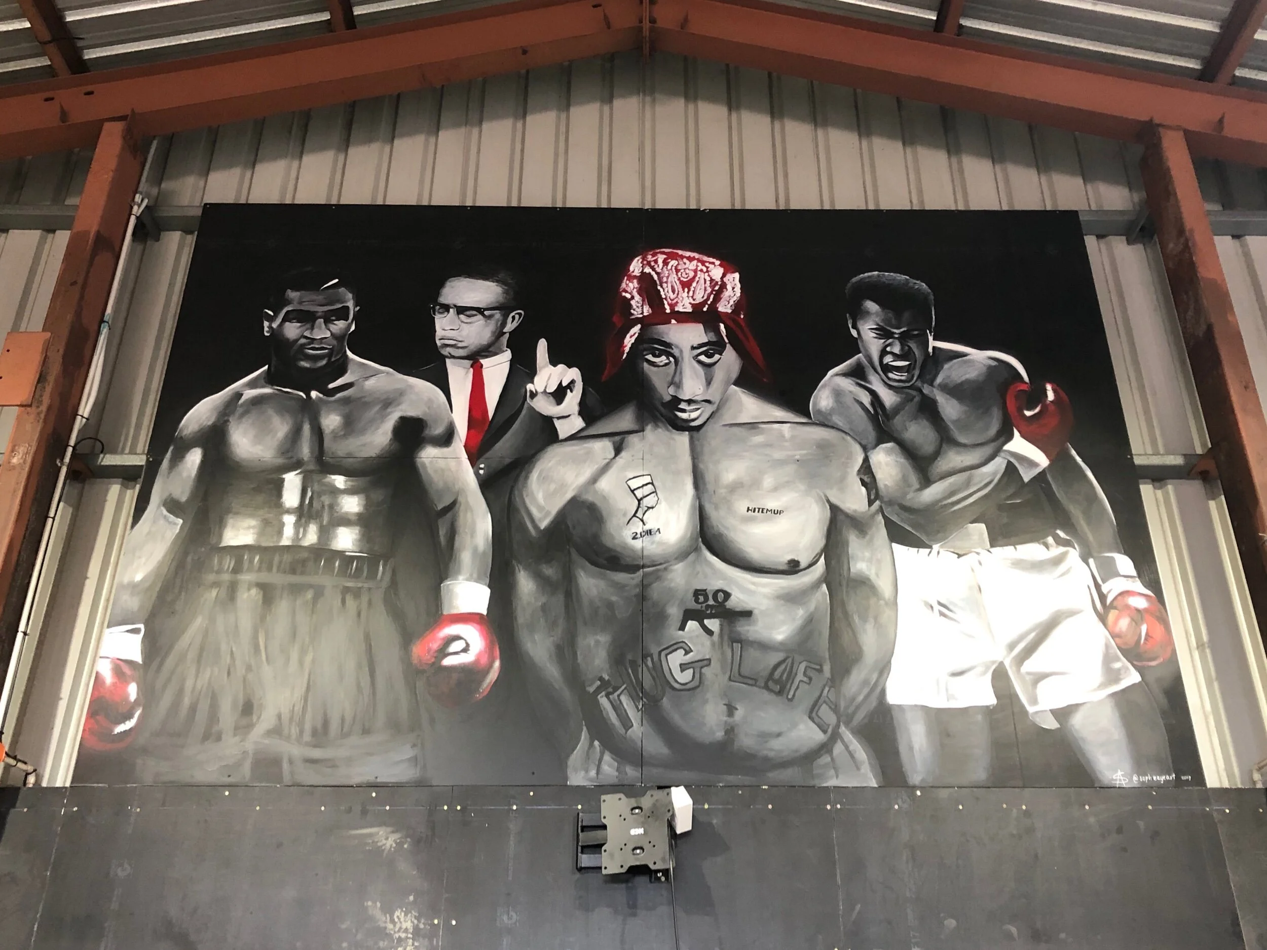 Mural for Hitemup Fitness, 2019
