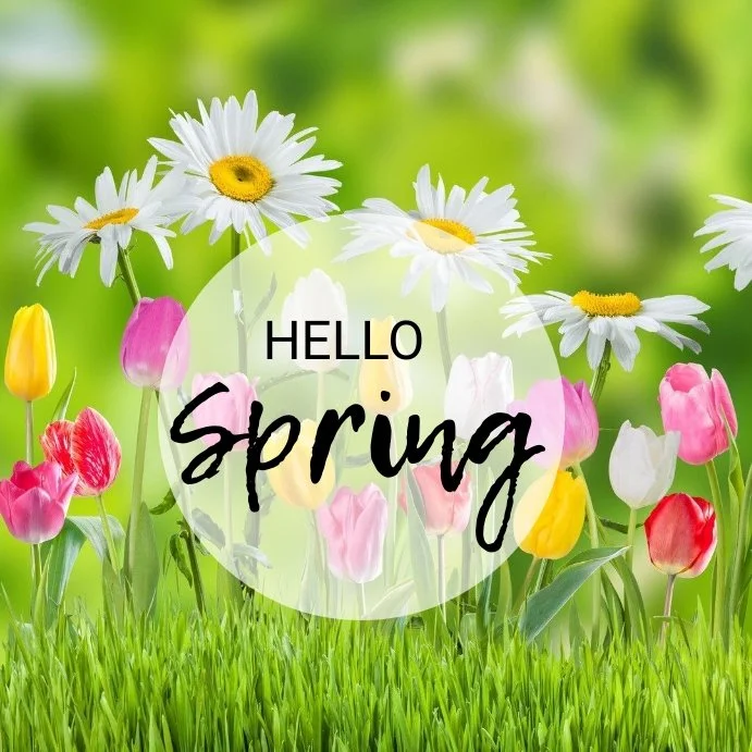 hello-spring,-spring-design-template-27666007daad7829604b71b2eba0807b_screen.jpg