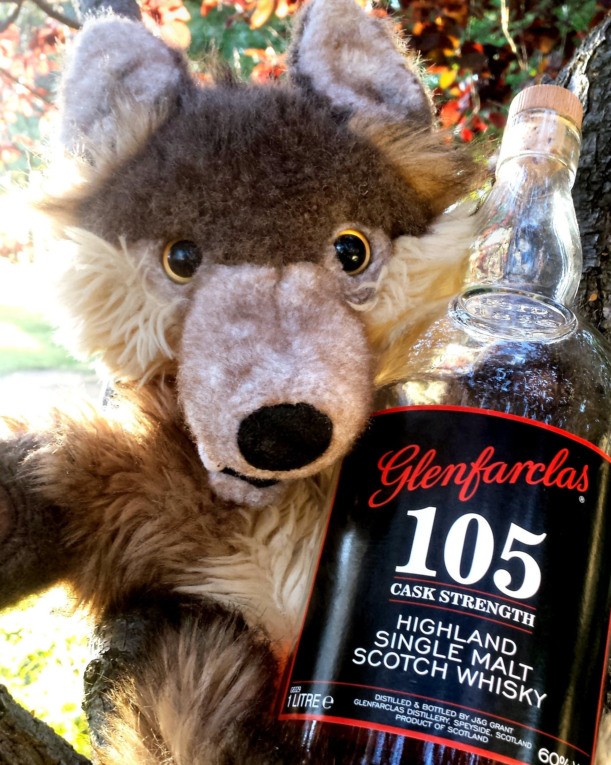 Hitch enjoys a dram or three in the garden.