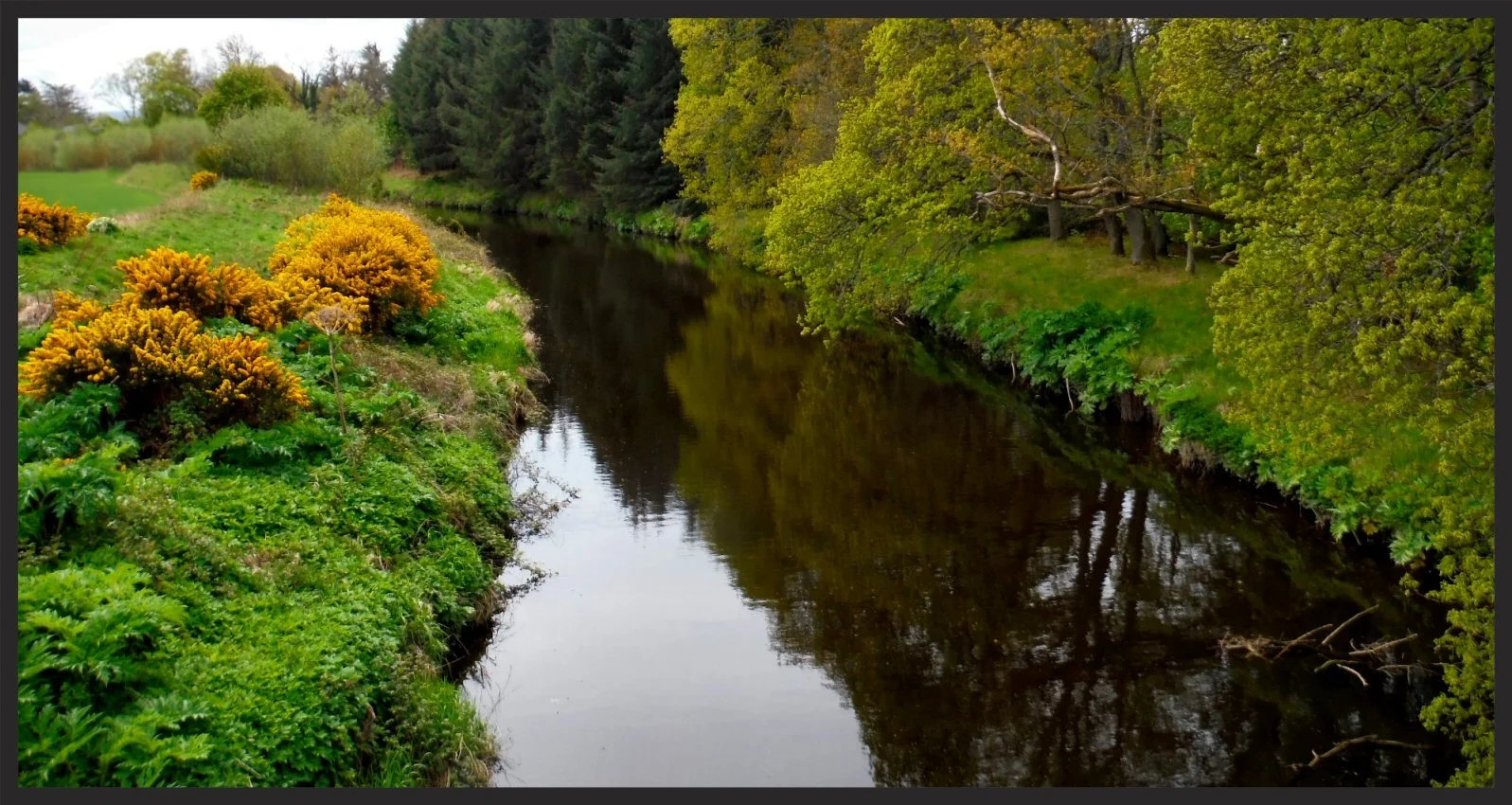 The Lossie River. Most of the contents of your Glen Moray originated here. 