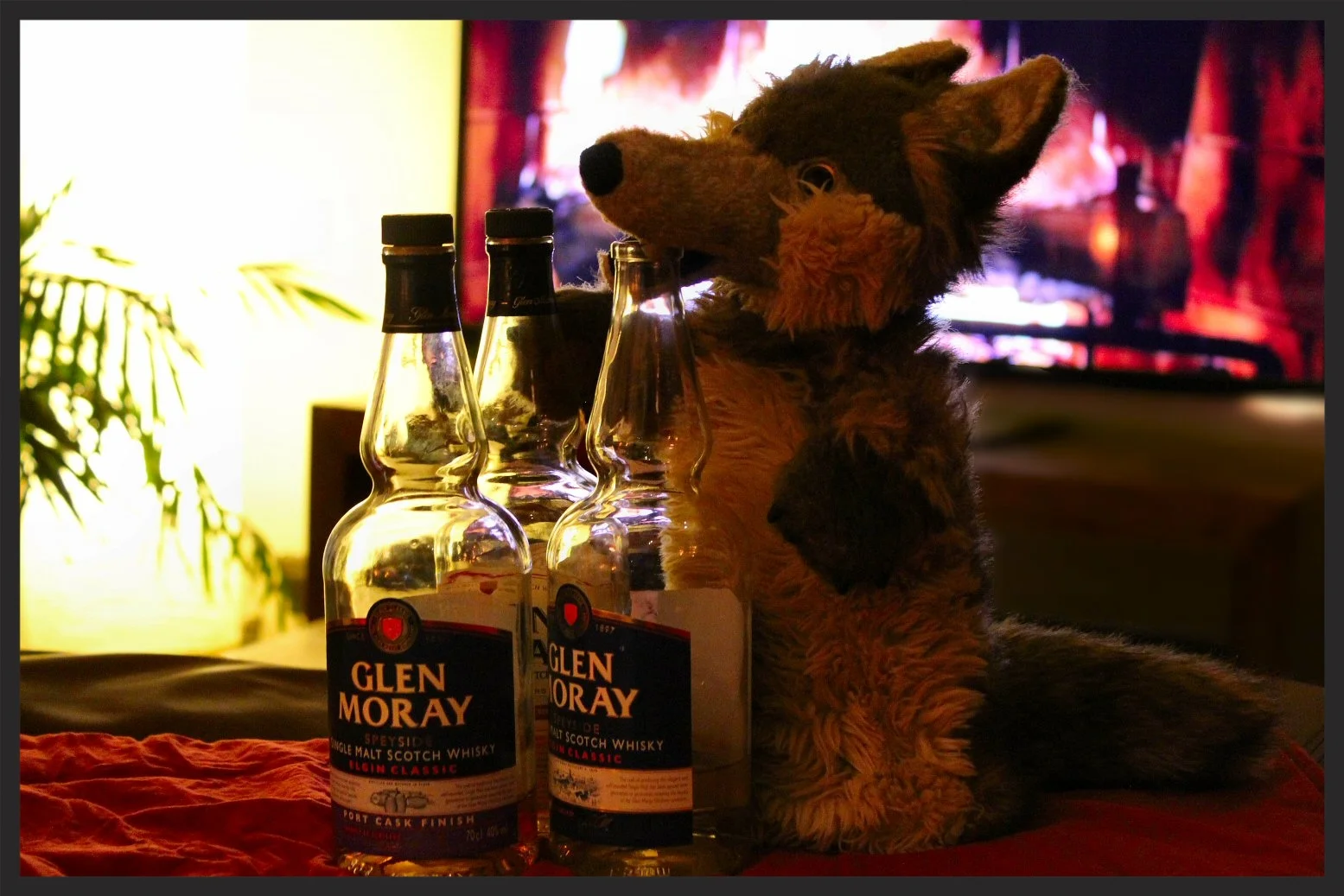 Hitch enjoys a dram or three by the fire. 