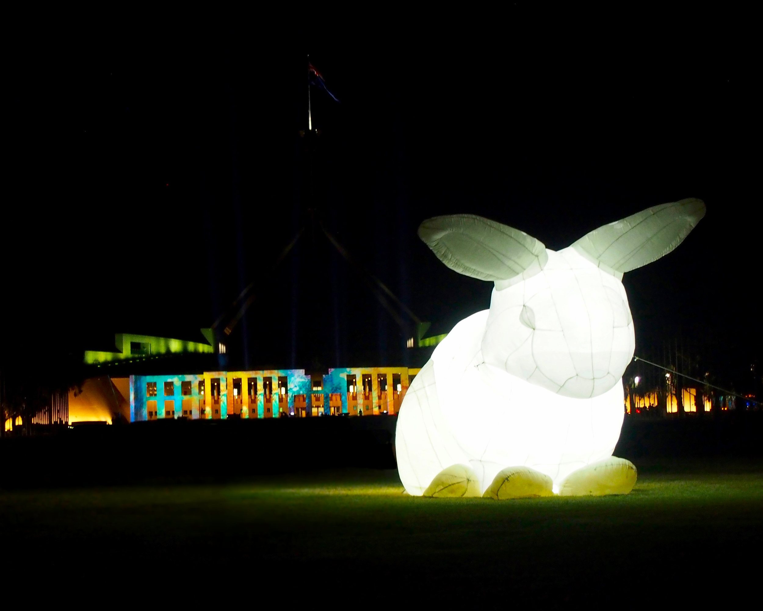 Rabbit Stu?