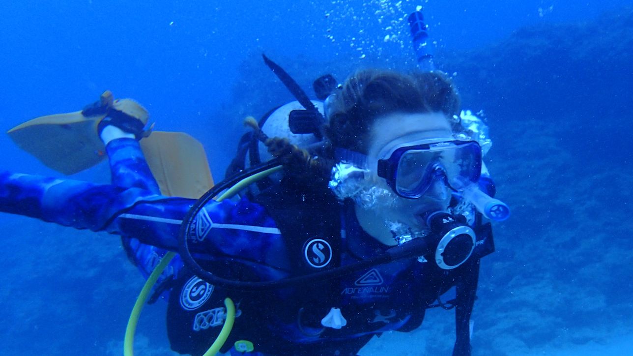 My daughter in pursuit of a banded sea krait. 