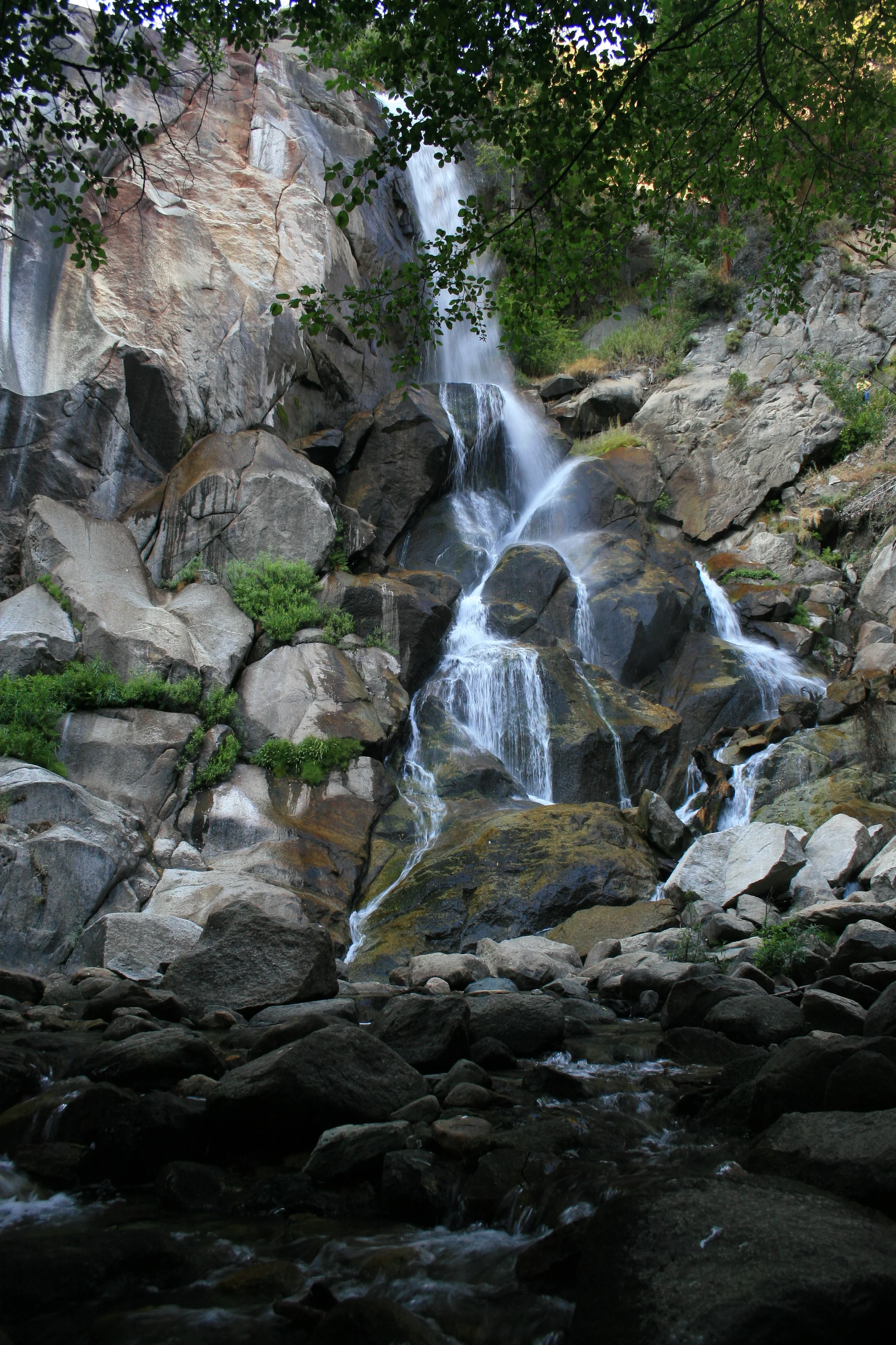 IMG_5156.JPG