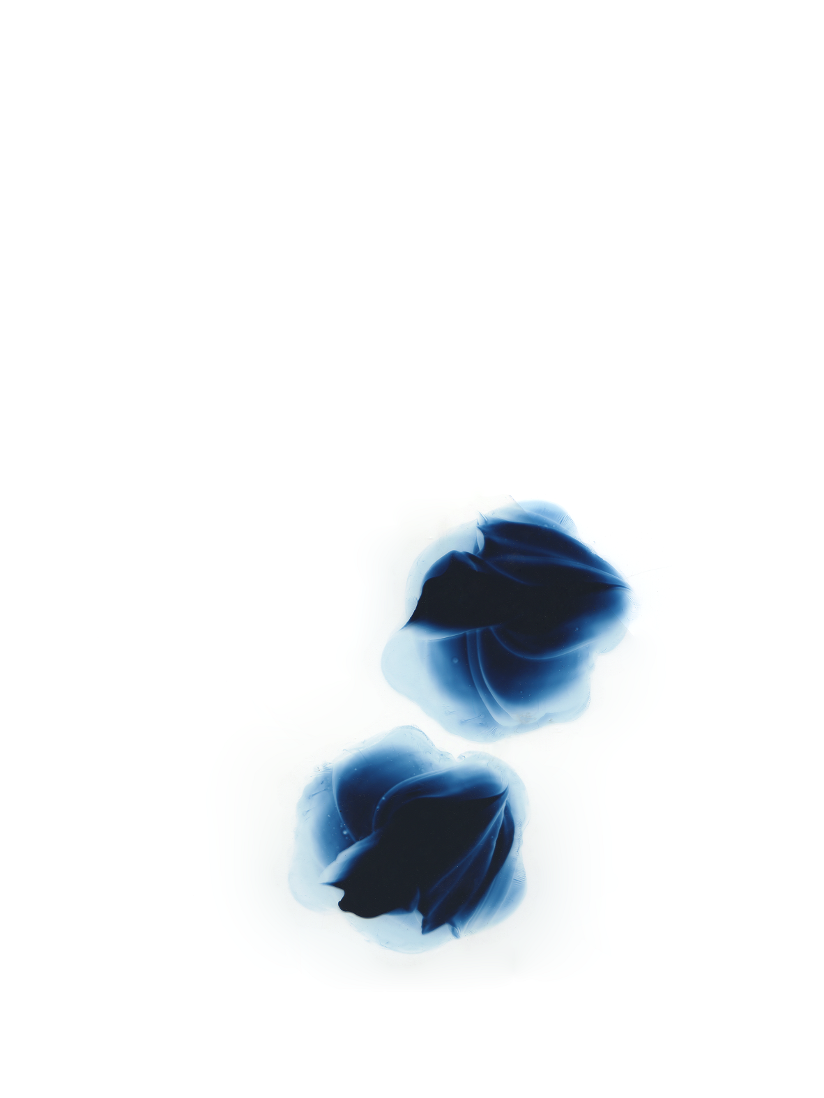 Cytokinesis (Copy)