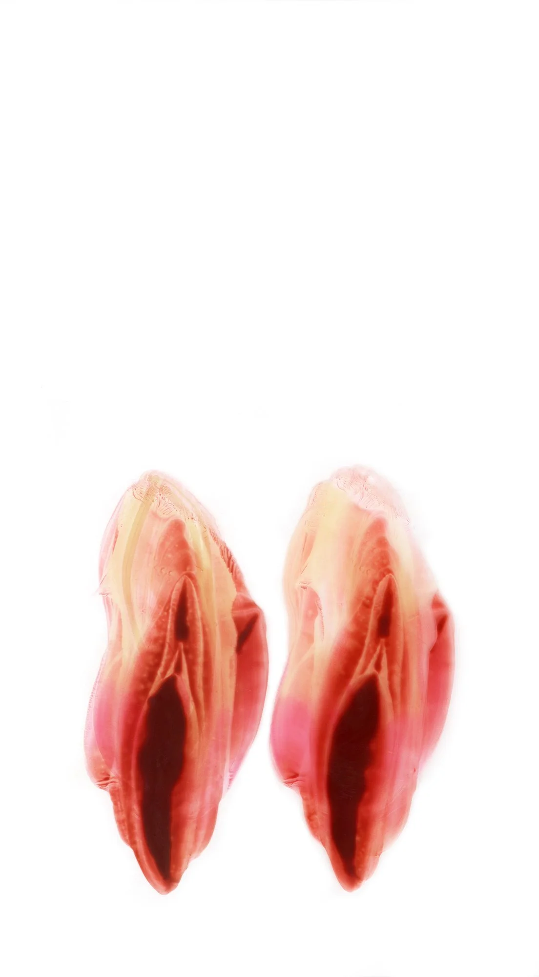 56 Transcendence 55 Finished SM.jpg