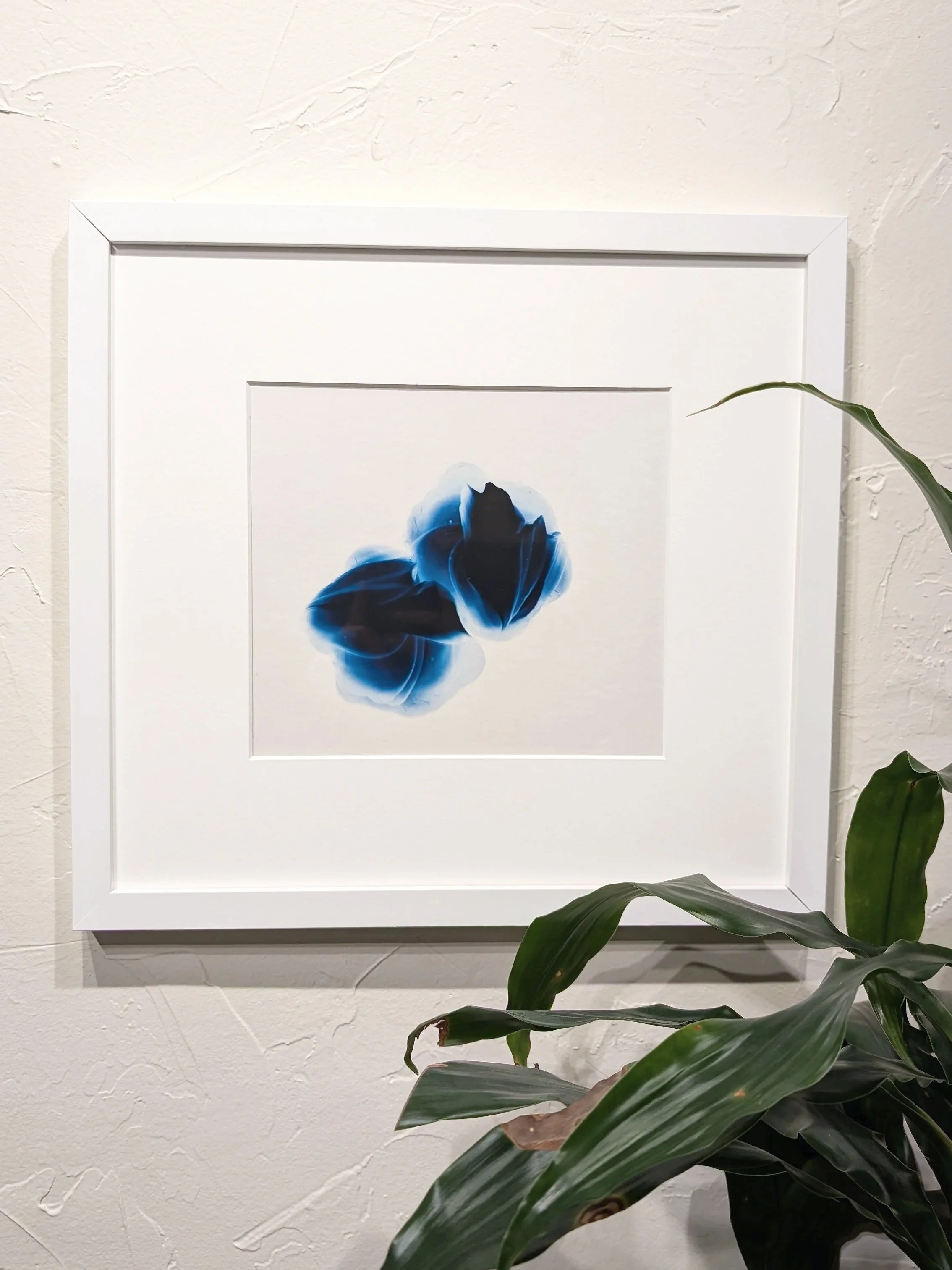 Murmur #5 Original Framed Painting