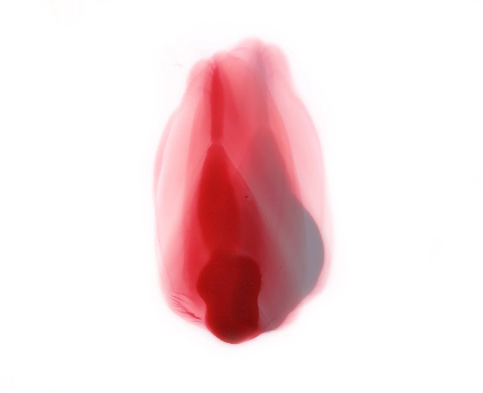 2 Murmur 2 Finished SM.jpg