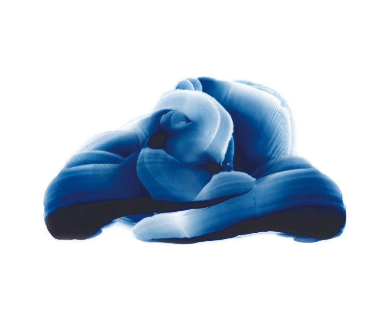 Murmur 1 8x10 Print Julie Miller FB.jpg